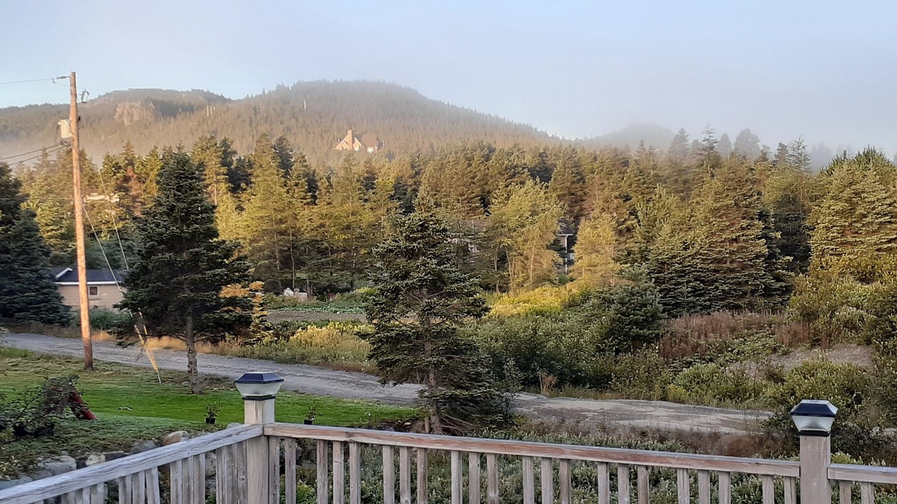 Photo of Others in Clarke's Beach