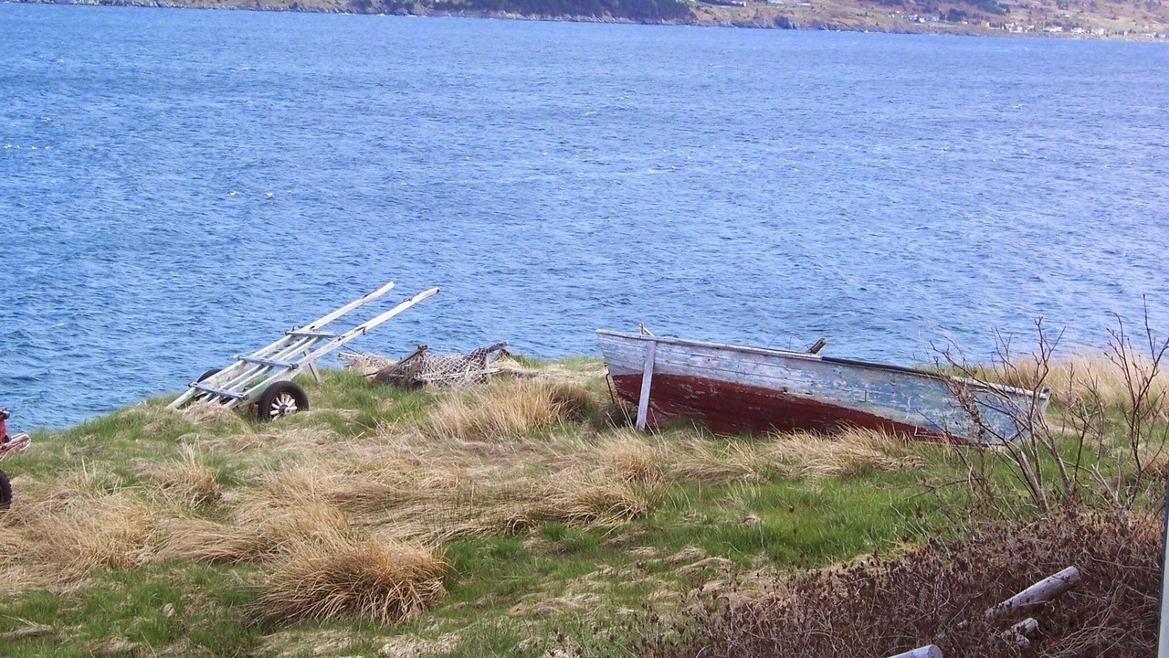 Photo of Others in Clarke's Beach