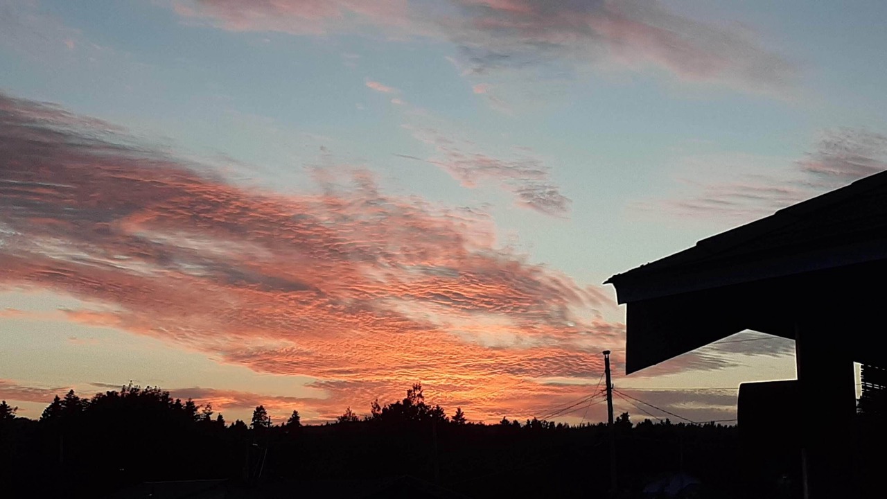 Photo of Outdoor in Clarke's Beach