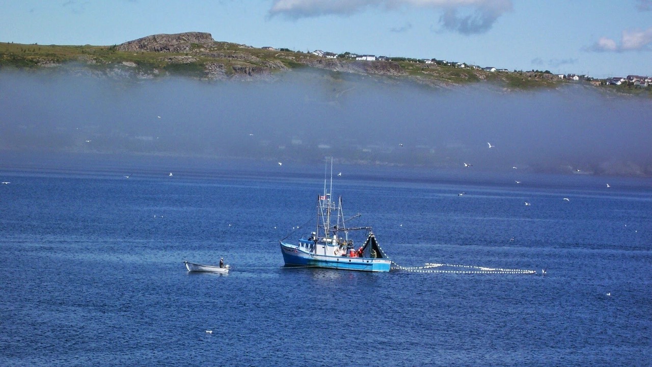 Photo of Others in Clarke's Beach