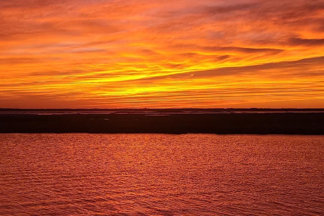 Photo of Others in Dover Beaches North