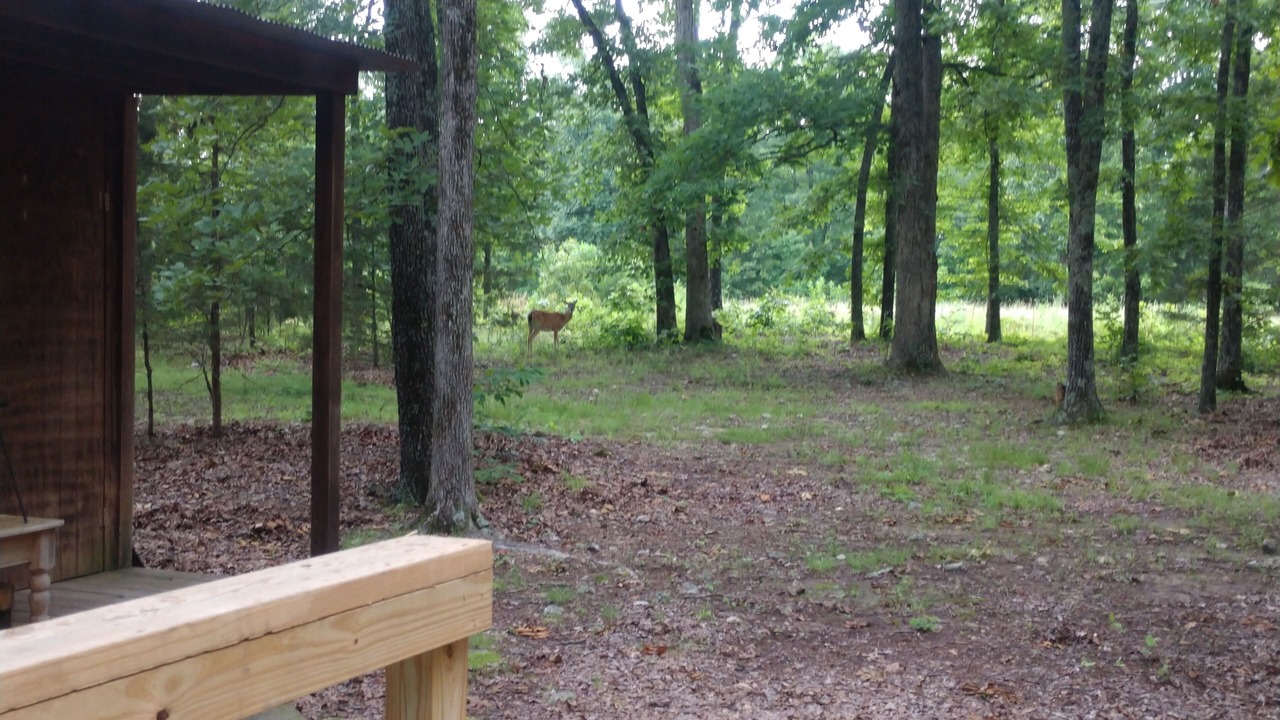 Photo of Outdoor in Saint Joe