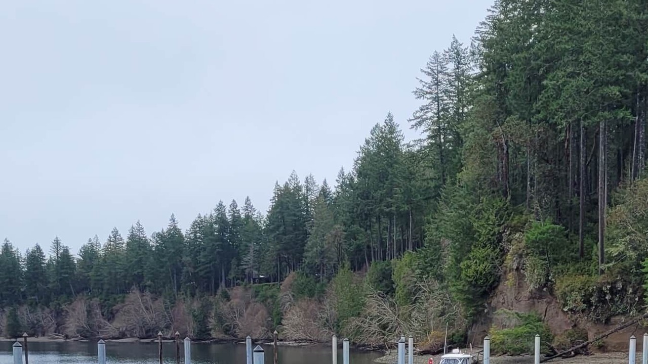 Photo of Others in Burley