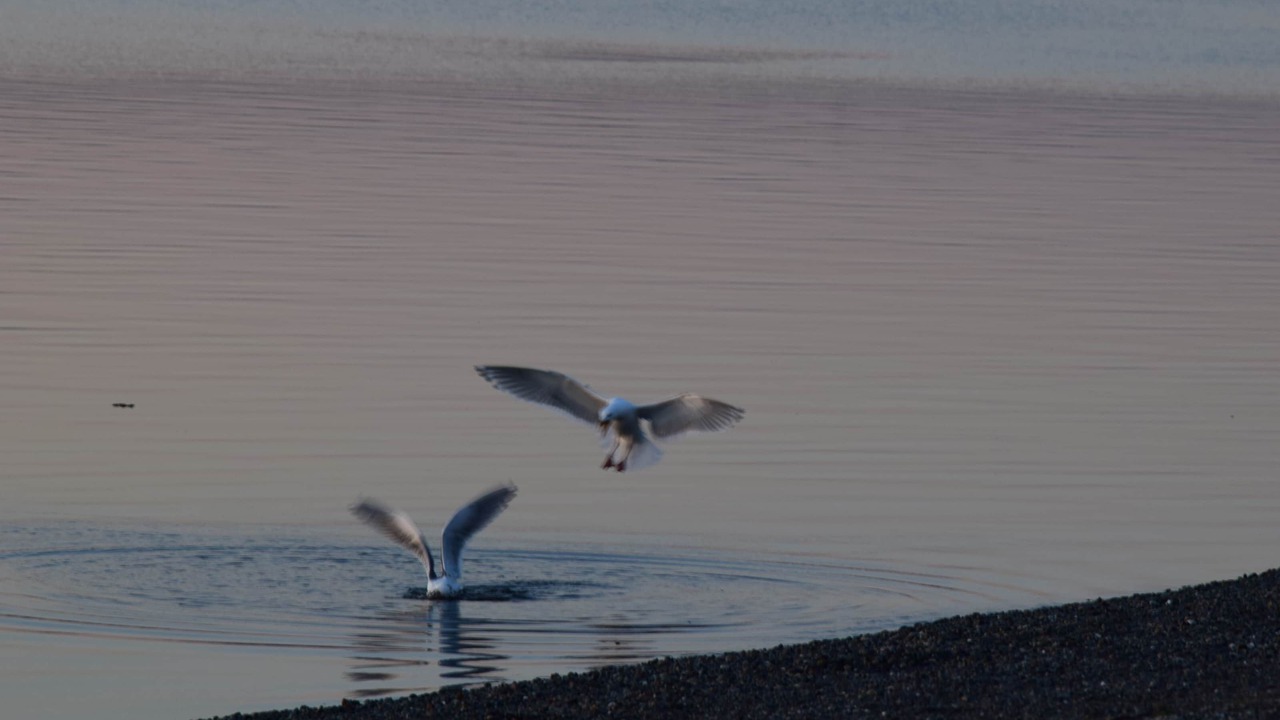 Photo of Others in Burley