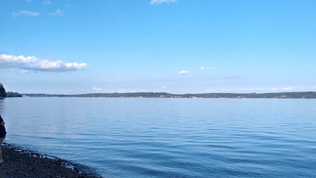 Photo of Others in Burley