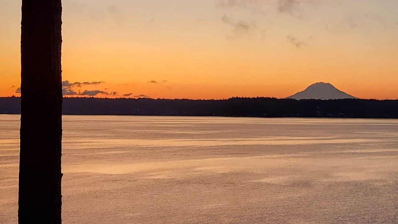 Photo of Others in Burley