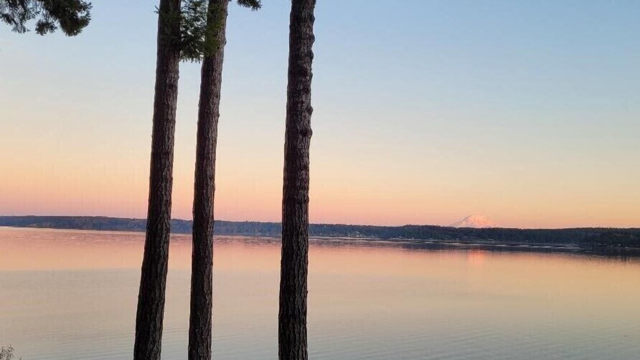 Photo of Others in Burley