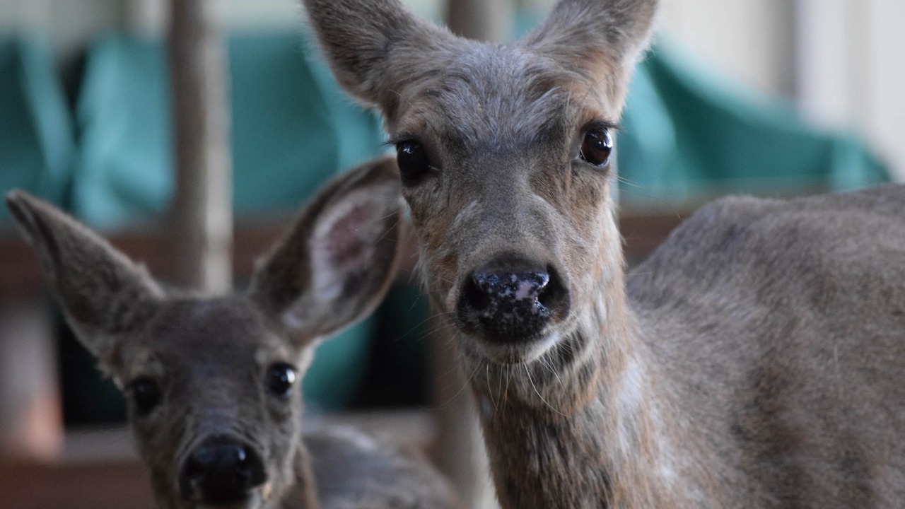 Photo of Others in Burley