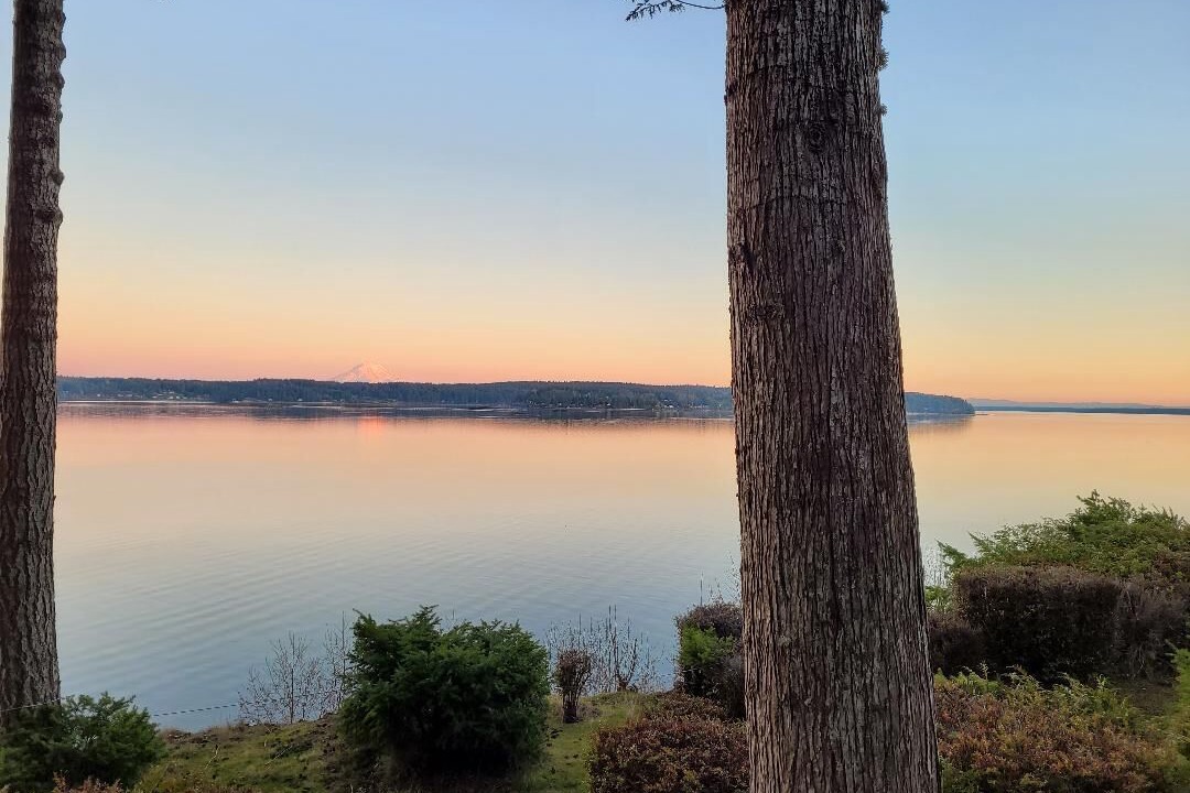 Photo of Others in Burley