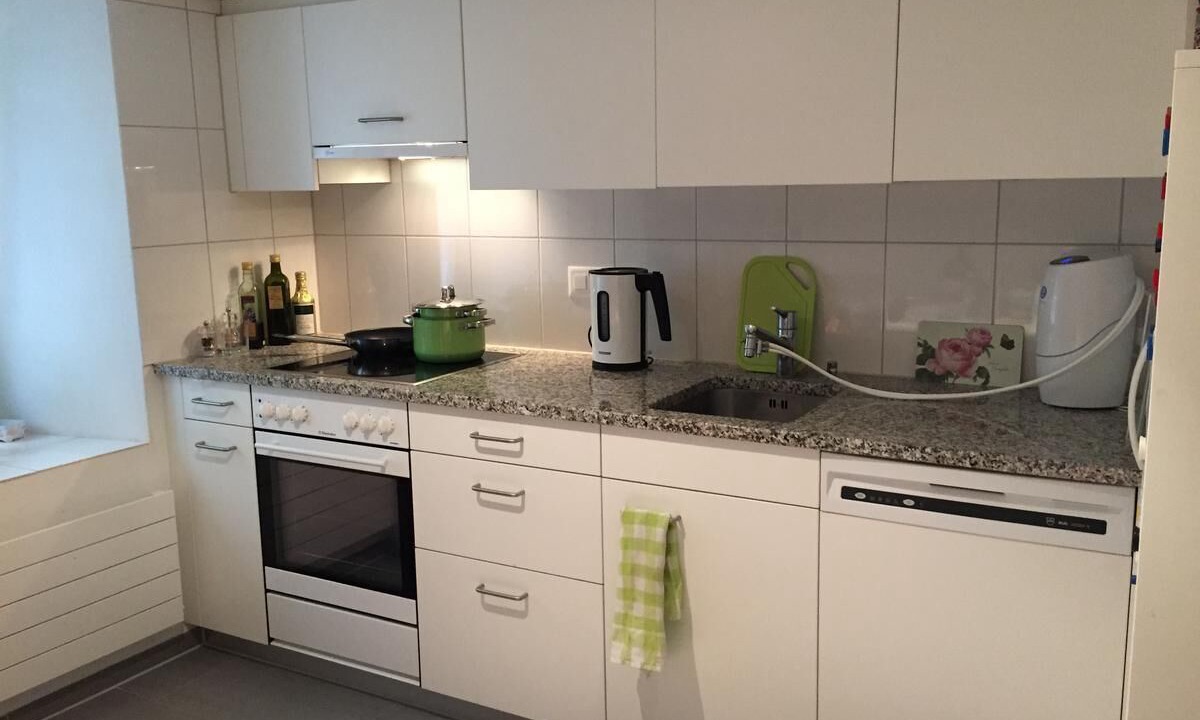 Photo of Kitchen in Meilen District