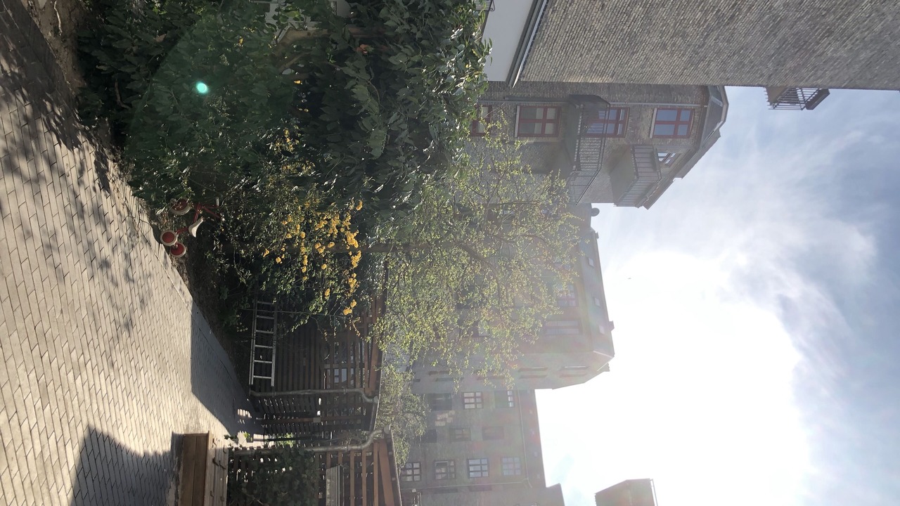 Photo of Outdoor in Osterbro