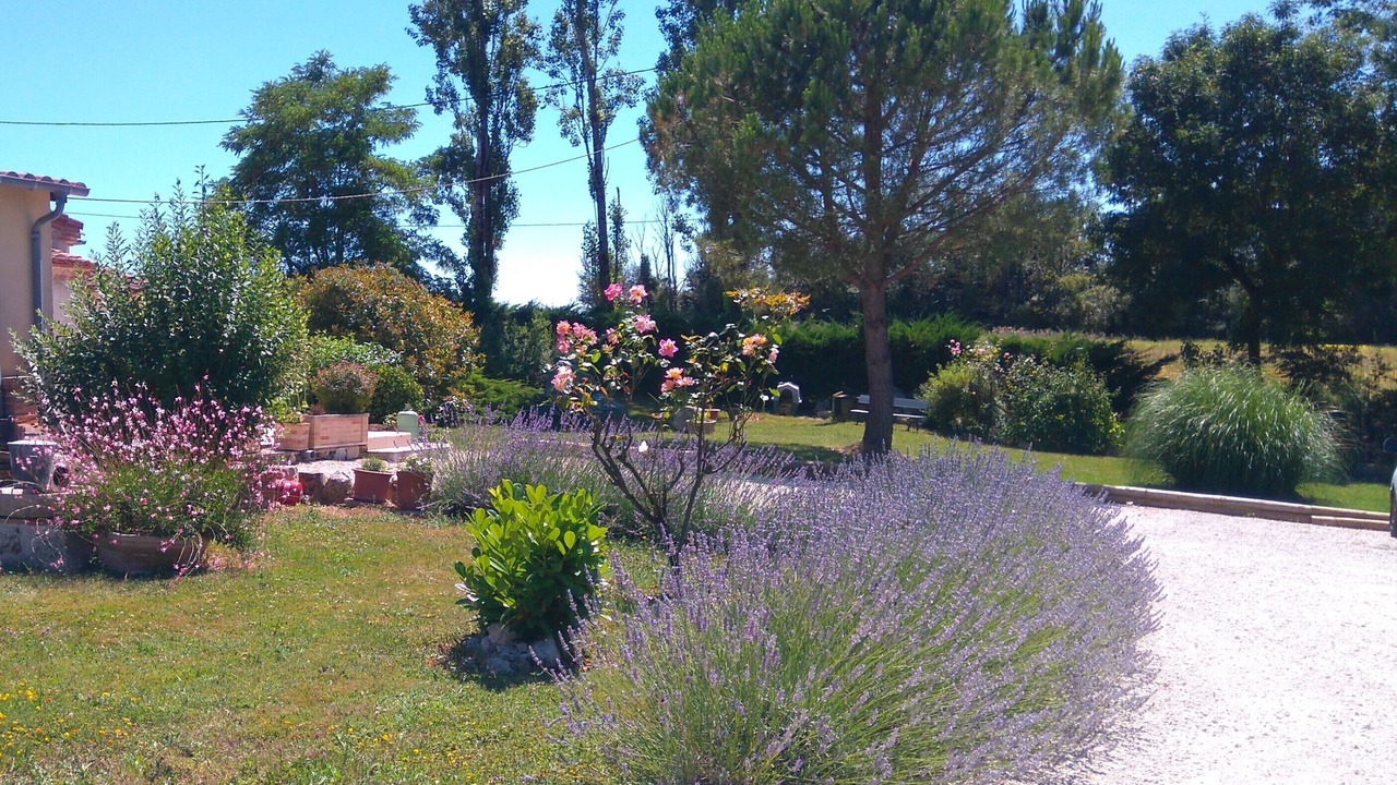 Photo of Outdoor in Beauville