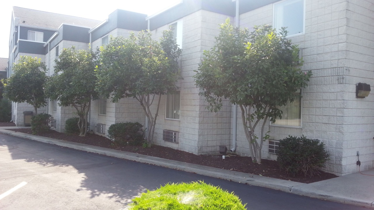 Photo of Outdoor in Gypsum