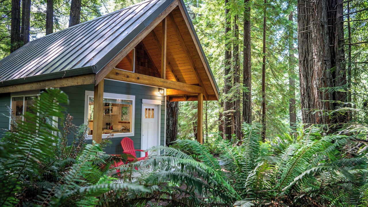 Photo of Outdoor in Crescent City