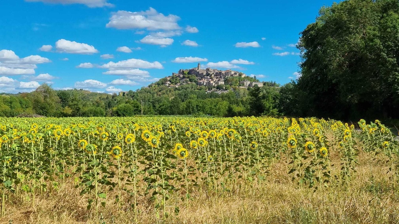 Photo of Outdoor in Labarthe-Bleys