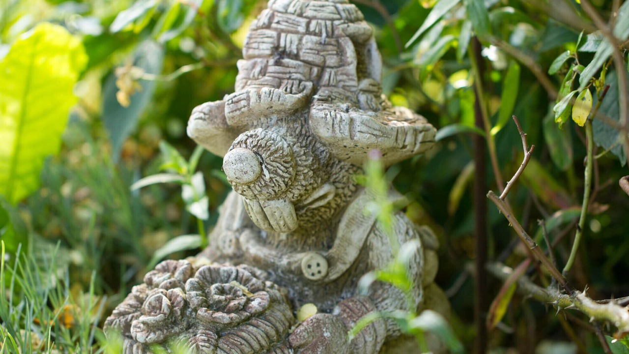 Photo of Outdoor in Neant-sur-Yvel