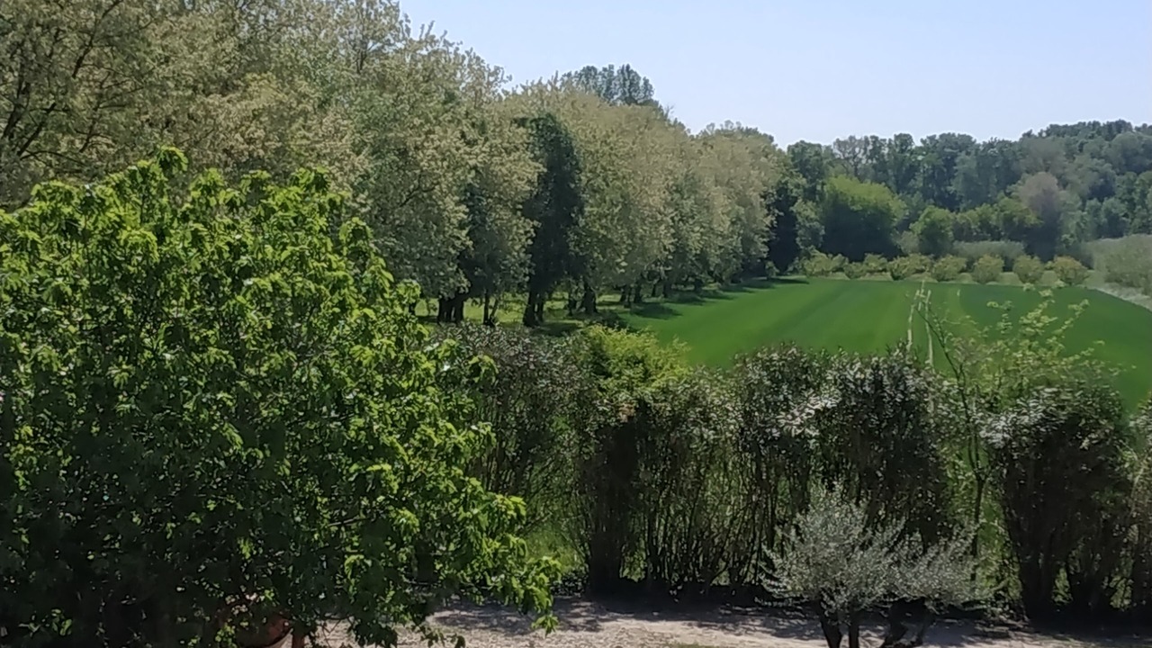 Photo of Outdoor in Pont-Saint-Esprit