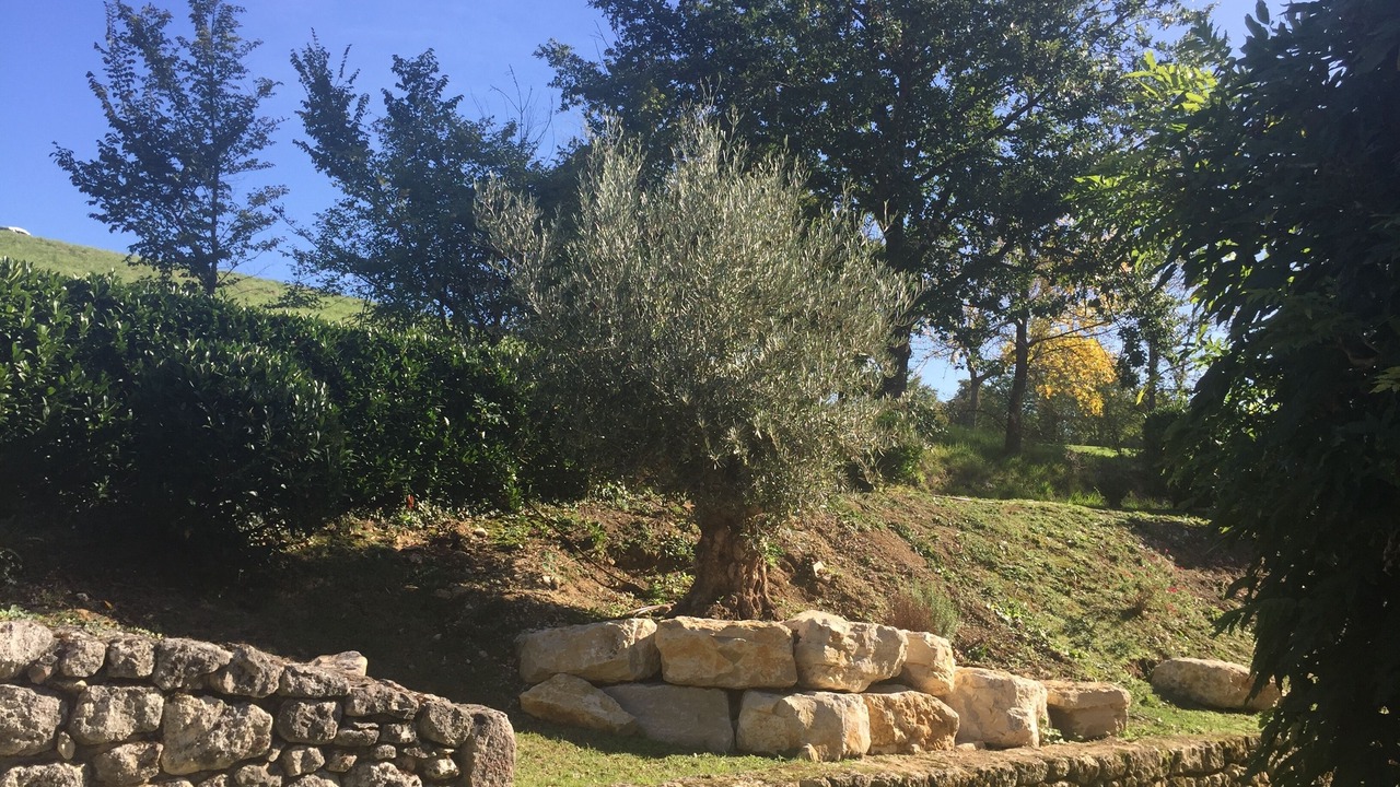 Photo of Outdoor in Monestier