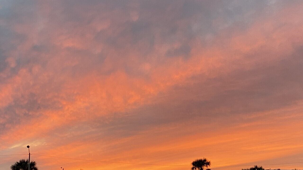 Photo of Others in East Daytona