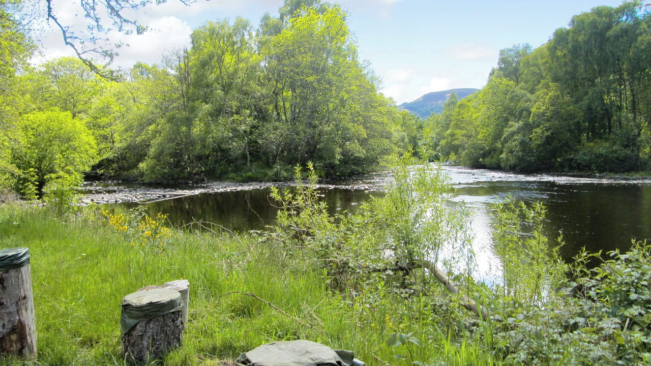 Photo of Outdoor in Contin