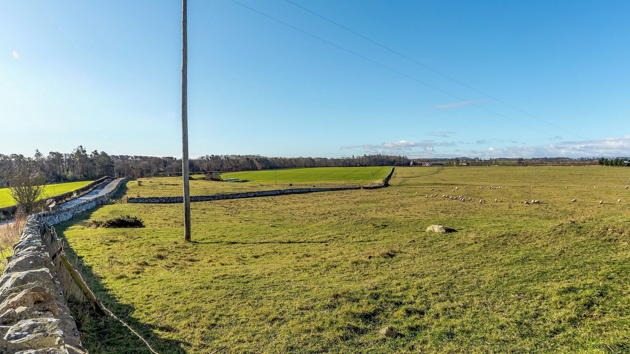 Photo of Others in Embleton