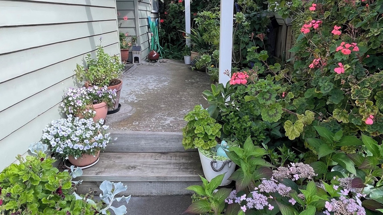 Photo of Outdoor in Bonbeach