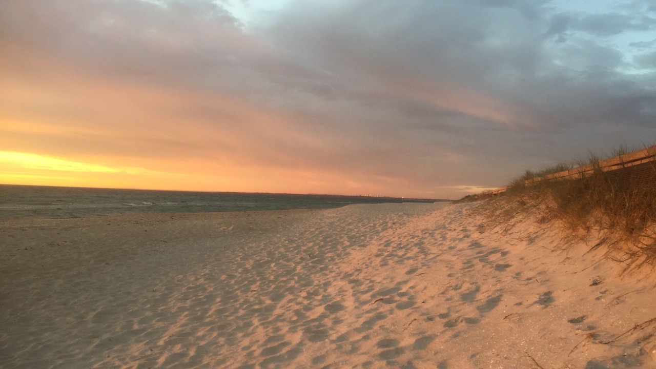 Photo of Others in Bonbeach