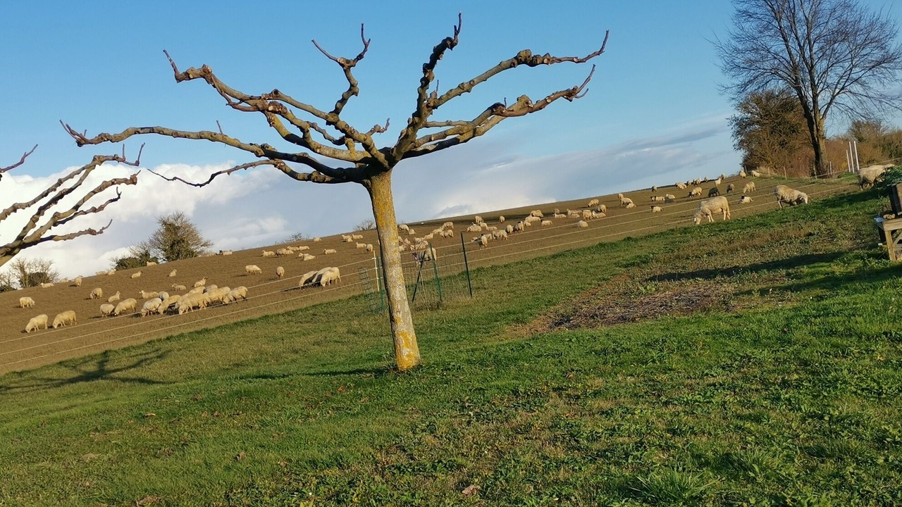 Photo of Outdoor in Lareole