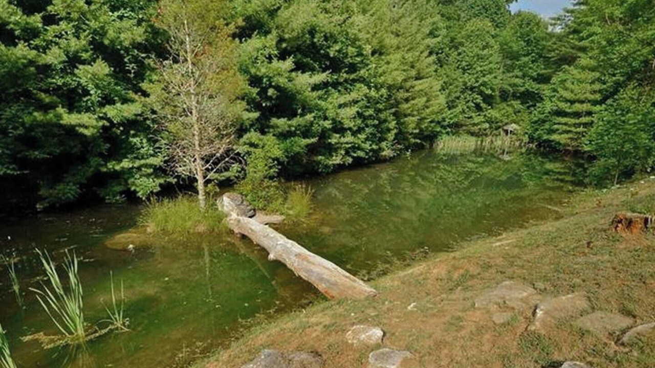 Photo of Outdoor in Cullowhee