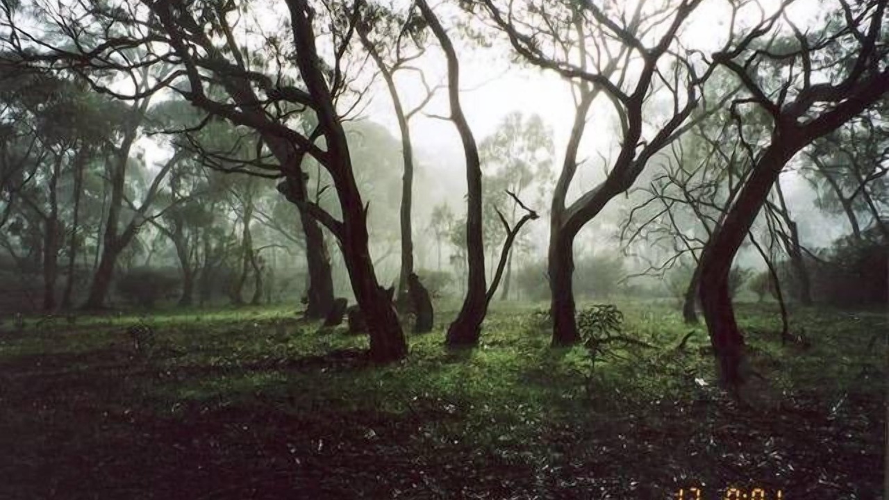 Photo of Outdoor in Clare