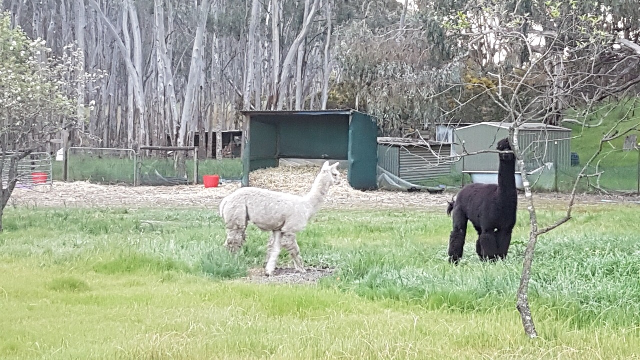Photo of Outdoor in Clare