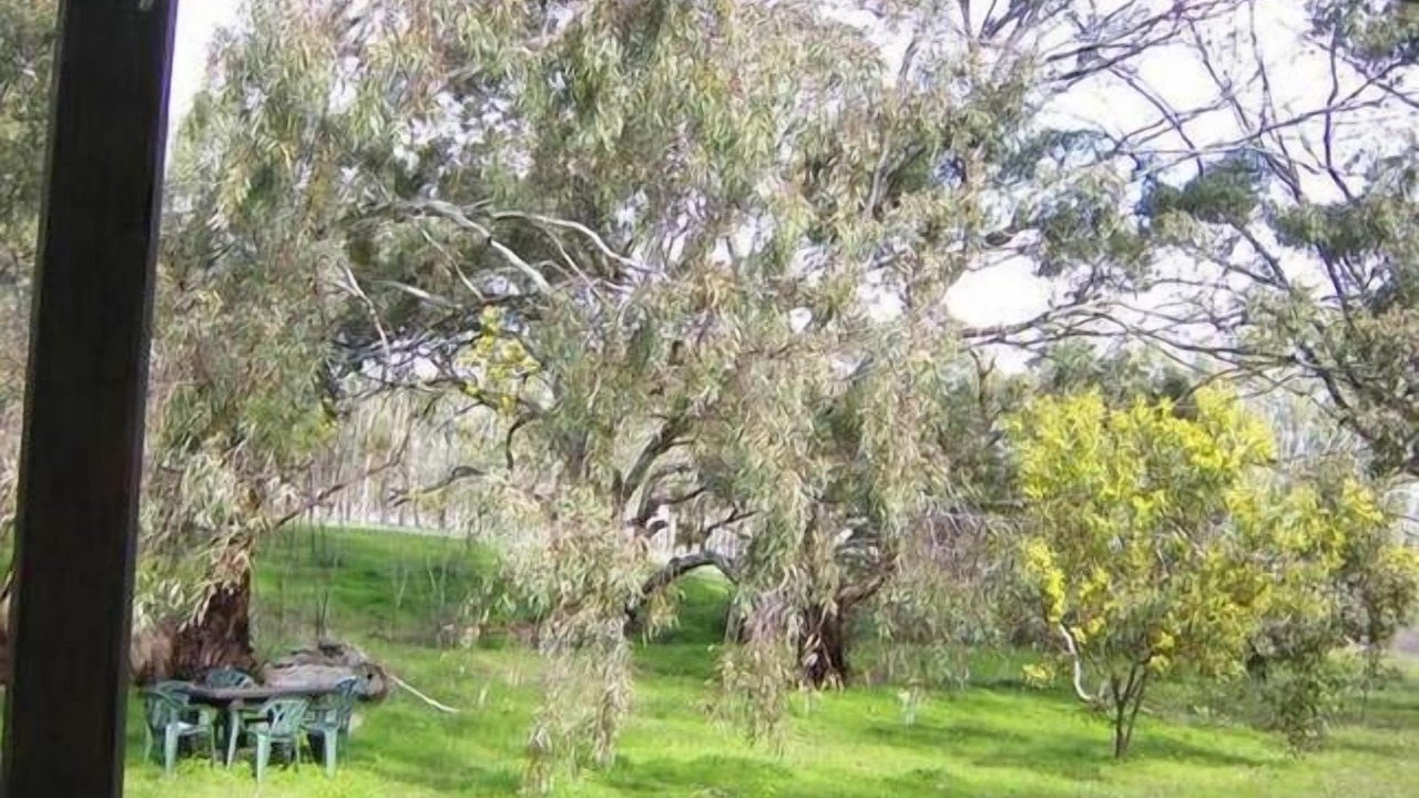 Photo of Others in Clare