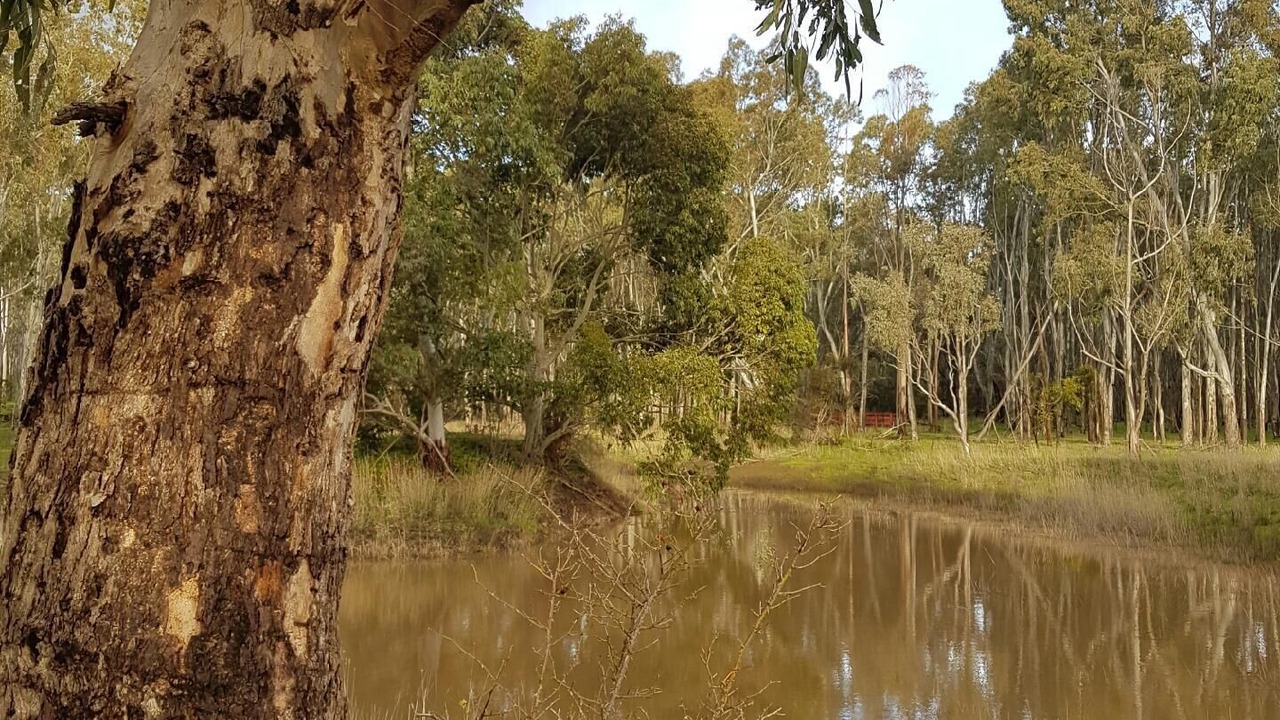 Photo of Outdoor in Clare