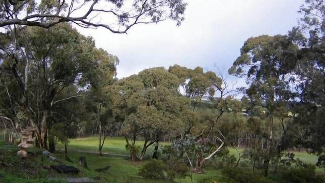 Photo of Others in Clare