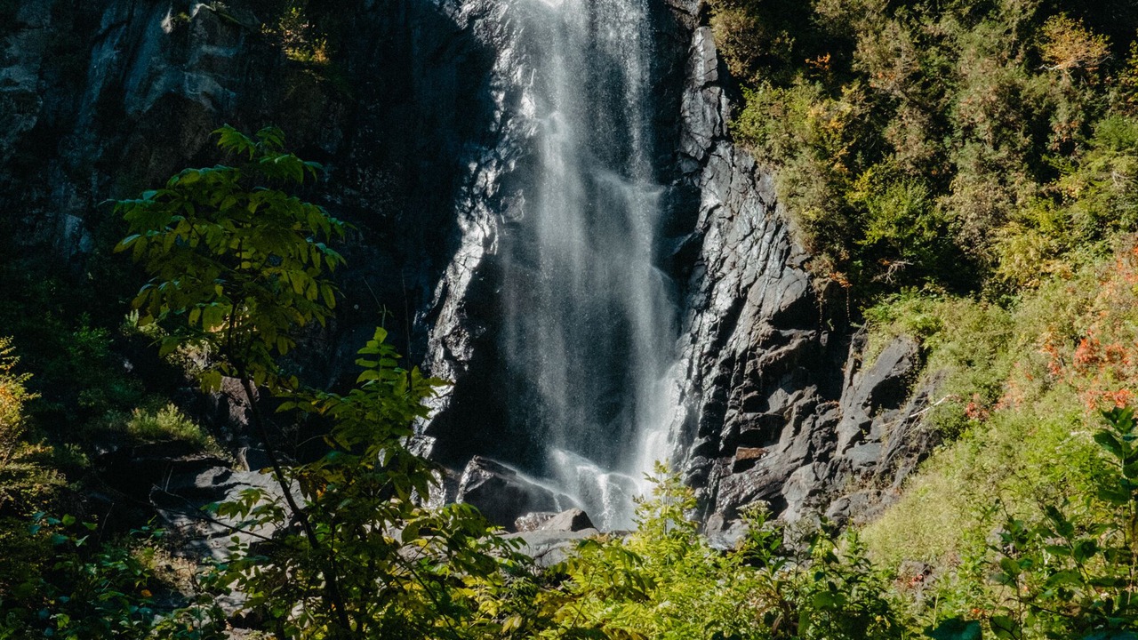 Photo of Others in North River