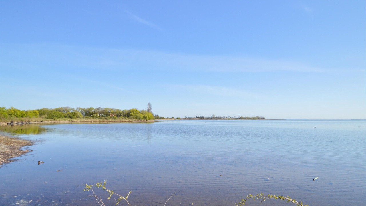 Photo of Others in Maribo