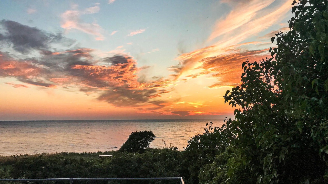 Photo of Others in Hasle