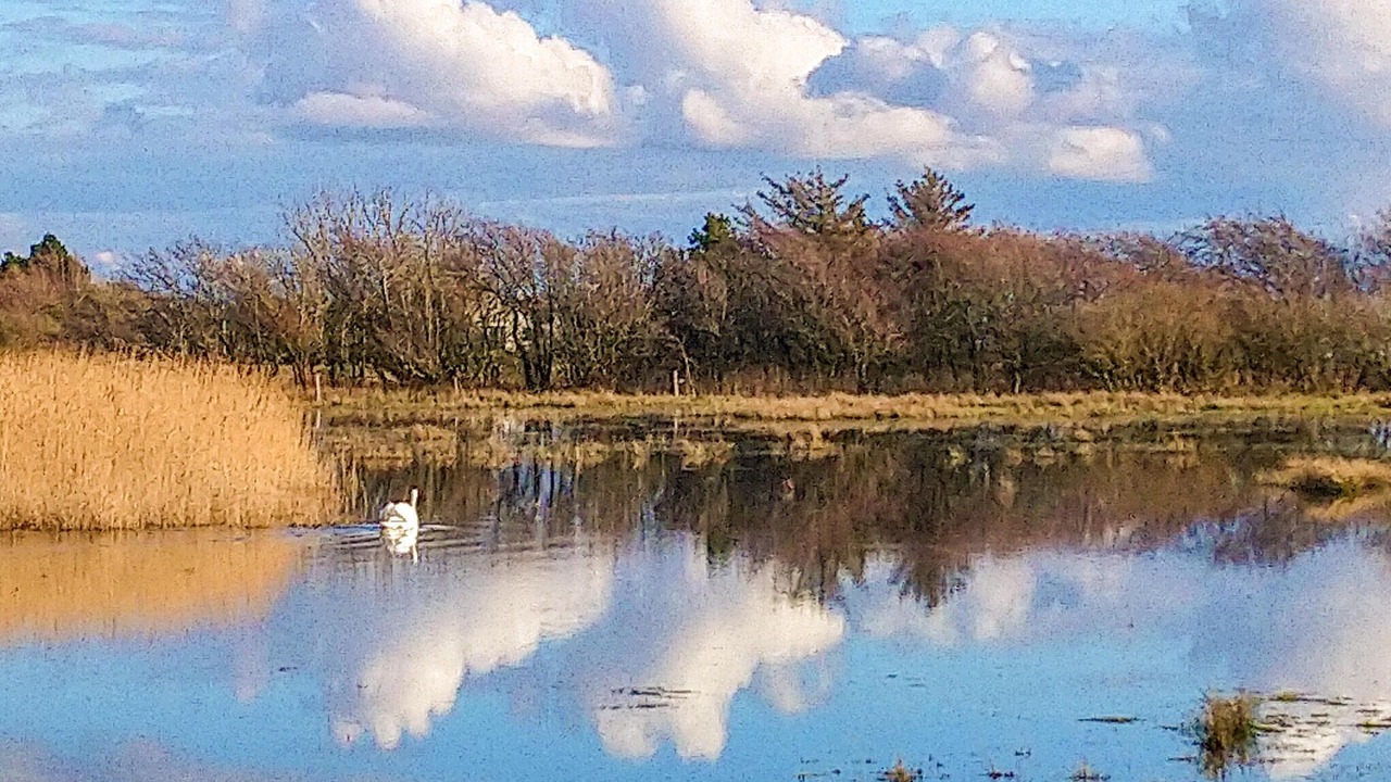 Photo of Others in Thyholm