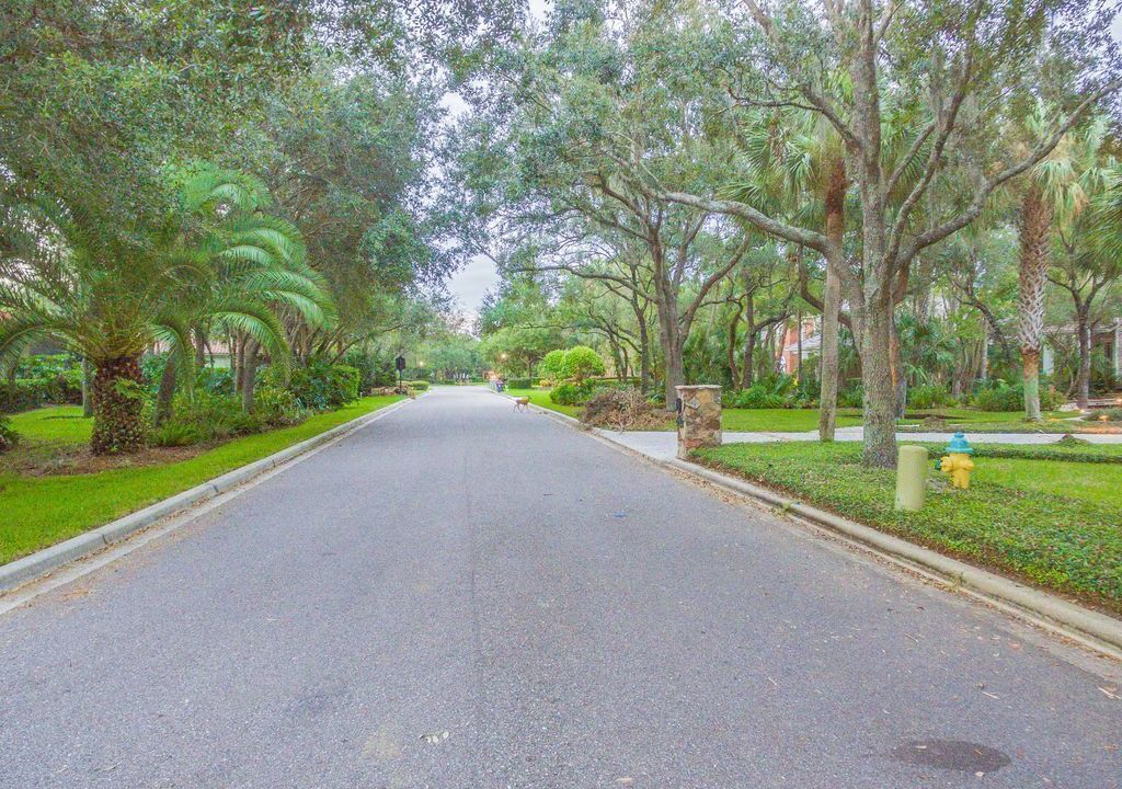 Photo of Outdoor in Tampa Palms