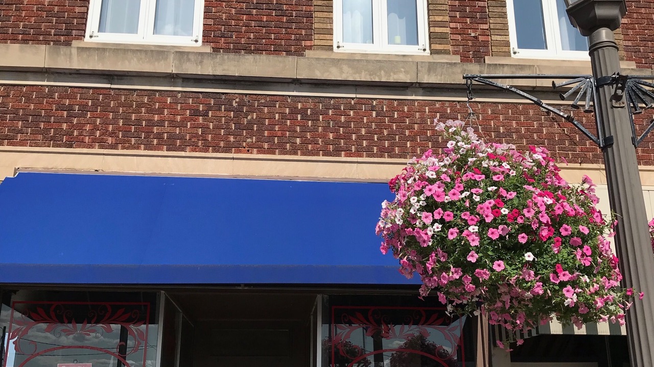 Photo of Others in Boone