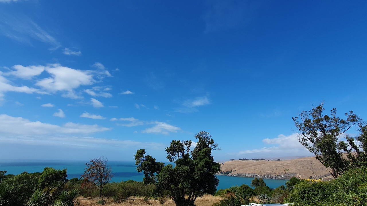 Photo of Others in Sumner