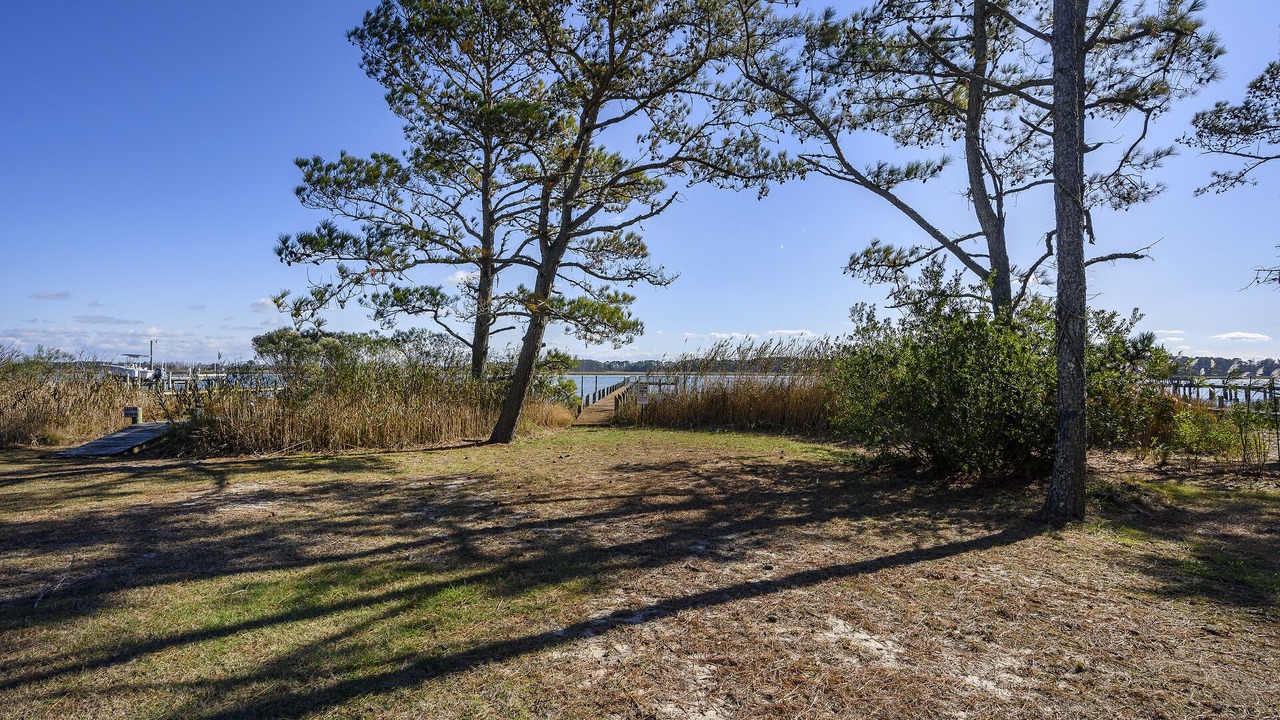 Photo of Others in Piney Island