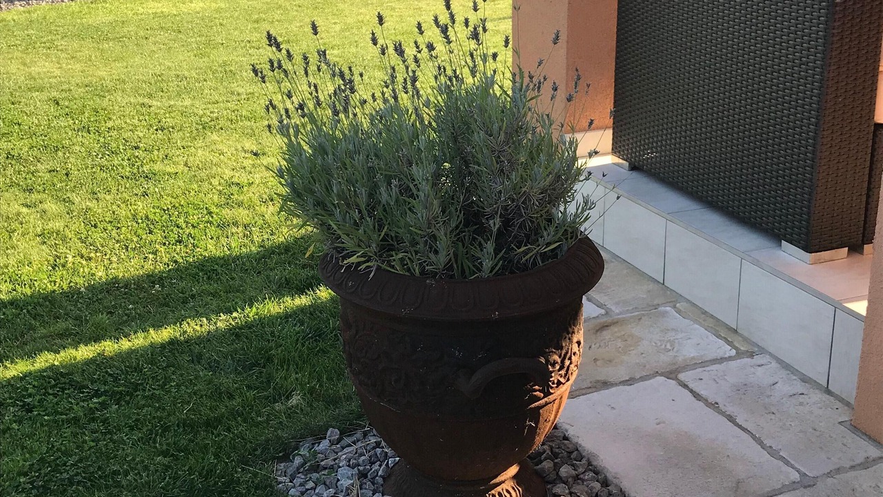 Photo of Outdoor in Rubesi