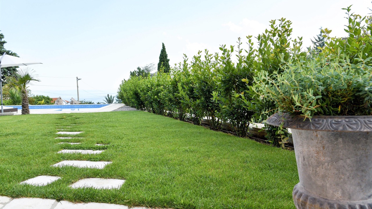 Photo of Outdoor in Rubesi