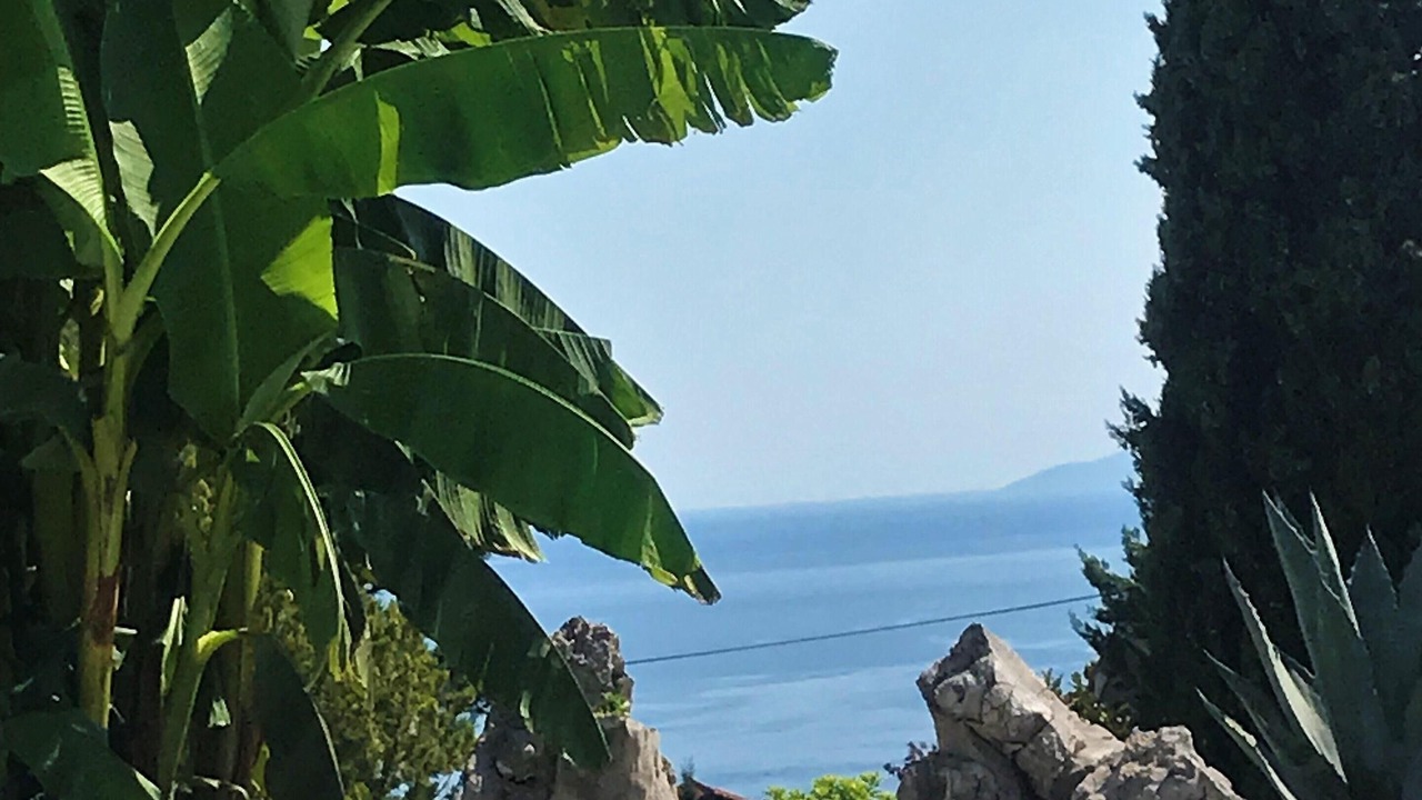 Photo of Outdoor in Rubesi