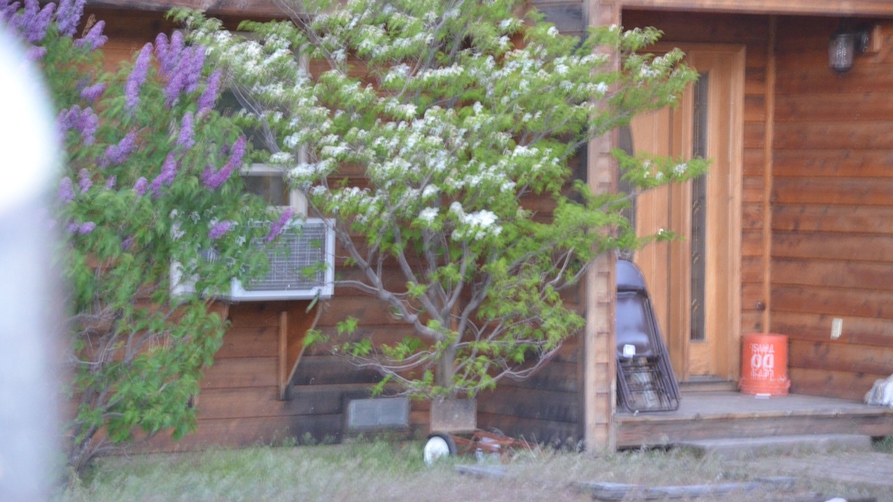 Photo of Outdoor in Cedarville