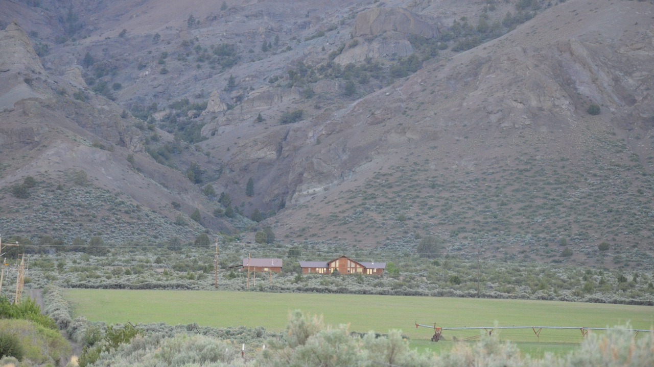Photo of Outdoor in Cedarville