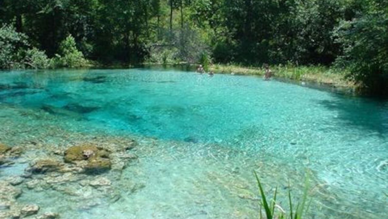 Photo of Others in Fort White