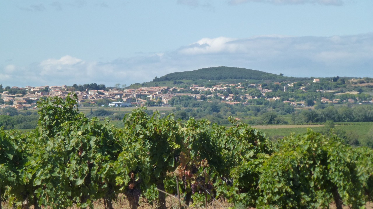 Photo of Others in Caux