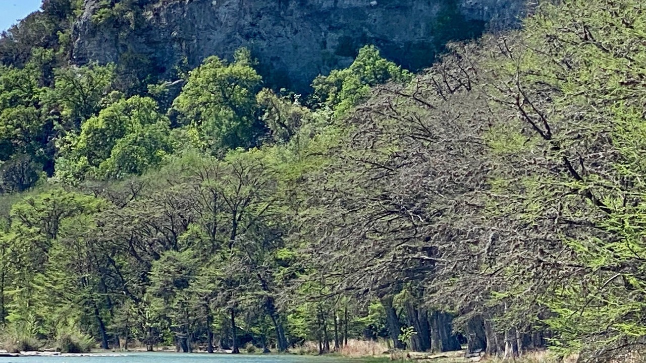 Photo of Others in Sabinal